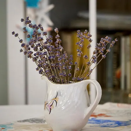 بيت ضيافة Boutique فارنا