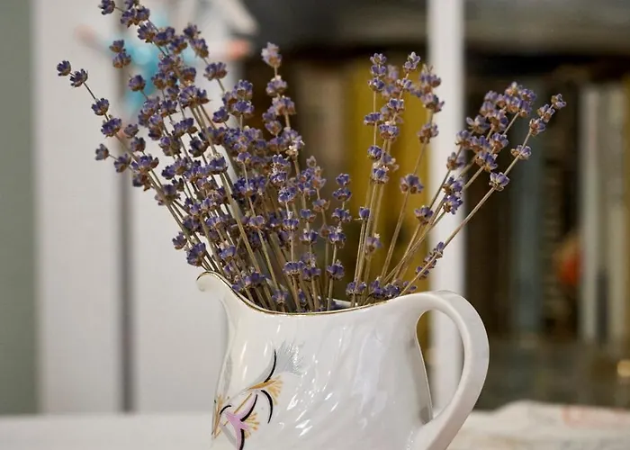 Pensionat Boutique Varna